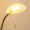Lampadaire à vasque Biot LED Vieux laiton, 2 lumières