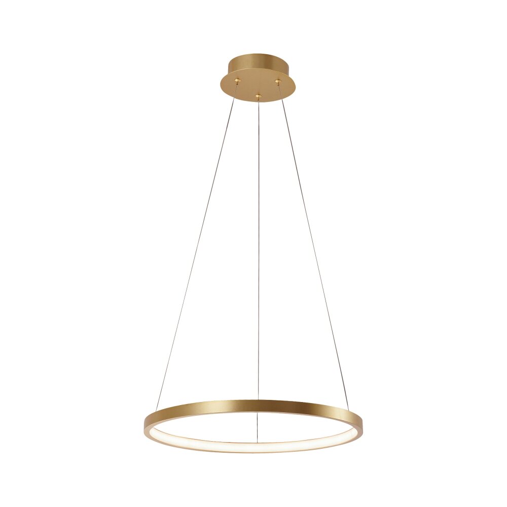 Suspension Leuchten Direkt CIRCLE LED Or, 1 lumière main product photo