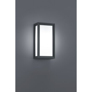 Applique murale d'extérieur Trio TIMOK Anthracite, 1 lumière