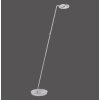 Lampadaire Paul Neuhaus MARTIN LED Acier inoxydable, 1 lumière