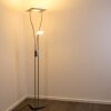 Lampadaire à vasque KIMBA LED Nickel mat, 3 lumières