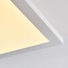 Plafonnier Barasat LED Blanc, 1 lumière