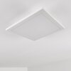 Plafonnier Barasat LED Blanc, 1 lumière
