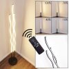 Lampadaire Mapleton LED Noir, 3 lumières, Télécommandes