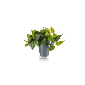 fleur Trio Plant LED Vert