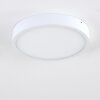 Plafonnier Broglen LED Blanc, 1 lumière