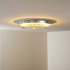 Plafonnier Springdale LED Argenté, 4 lumières