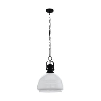 Suspension Eglo COMBWICH 1 Noir, 1 lumière