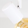 Plafonnier Barbengo Bois clair, Blanc, 4 lumières