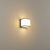 Applique murale d'extérieur Buckau LED Anthracite, Blanc, 1 lumière