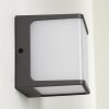 Applique murale d'extérieur Buckau LED Anthracite, Blanc, 1 lumière