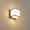 Applique murale d'extérieur Buckau LED Anthracite, Blanc, 1 lumière