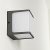 Applique murale d'extérieur Buckau LED Anthracite, Blanc, 1 lumière