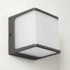 Applique murale d'extérieur Buckau LED Anthracite, Blanc, 1 lumière