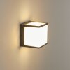 Applique murale d'extérieur Buckau LED Anthracite, Blanc, 1 lumière