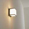 Applique murale d'extérieur Buckau LED Anthracite, Blanc, 1 lumière