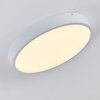 Plafonnier Broglen LED Blanc, 1 lumière