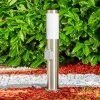 Norburg Borne lumineuse, Eclairage de chemin Acier inoxydable, 1 lumière