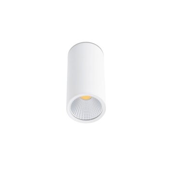 Plafonnier Faro Rel LED Blanc, 1 lumière