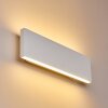 Applique murale Obion LED Blanc, 2 lumières