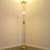 Lampadaire à vasque Rom LED Laiton, 2 lumières