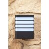 Applique murale Philips myGarden RACCOON LED Anthracite, 1 lumière