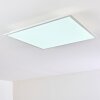 Plafonnier Antria LED Blanc, 1 lumière, Changeur de couleurs