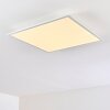 Plafonnier Antria LED Blanc, 1 lumière, Changeur de couleurs