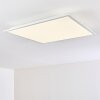 Plafonnier Antria LED Blanc, 1 lumière, Télécommandes, Changeur de couleurs