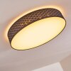 Plafonnier Temuka LED Blanc, 1 lumière, Télécommandes