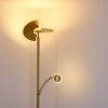 Lampadaire Cazis LED Laiton, 1 lumière