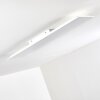 Plafonnier Antria LED Blanc, 1 lumière, Télécommandes, Changeur de couleurs
