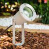 Projecteur de jardin Pilsen Argenté, 1 lumière