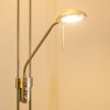 Lampadaire à vasque Rom LED Nickel mat, 2 lumières