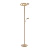 Lampadaire Paul Neuhaus MARTIN LED Laiton, 1 lumière