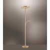 Lampadaire Paul Neuhaus MARTIN LED Laiton, 1 lumière