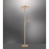 Lampadaire Paul Neuhaus MARTIN LED Laiton, 1 lumière