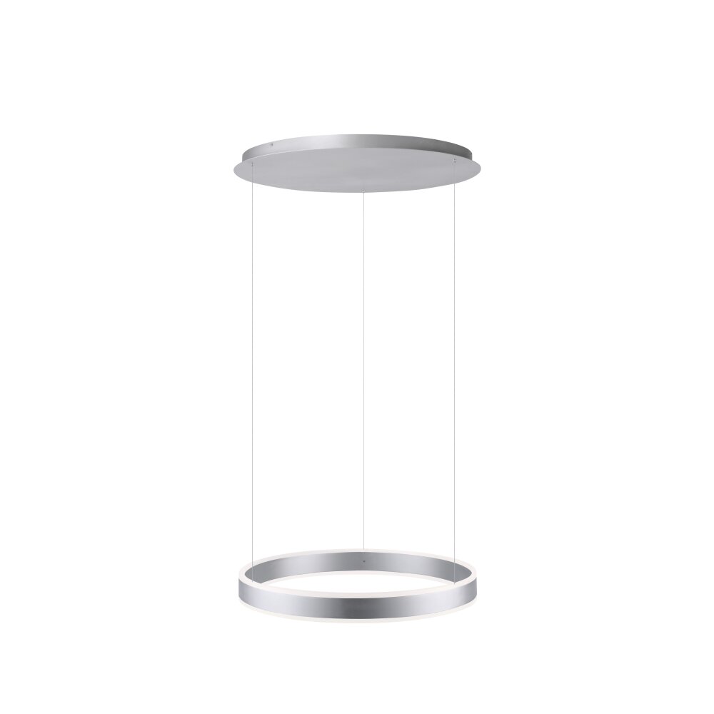 Suspension Paul Neuhaus ARINA LED Acier inoxydable, 2 lumières, Détecteur de mouvement main product photo