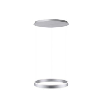 Suspension Paul Neuhaus ARINA LED Acier inoxydable, 2 lumières, Détecteur de mouvement