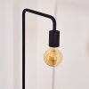 Lampadaire Valocolla Noir, 1 lumière