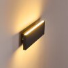 Applique murale Obion LED Anthracite, 2 lumières