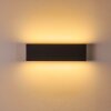 Applique murale Obion LED Anthracite, 2 lumières