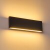 Applique murale Obion LED Anthracite, 2 lumières