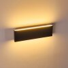 Applique murale Obion LED Anthracite, 2 lumières