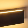 Applique murale Obion LED Anthracite, 2 lumières