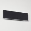 Applique murale Obion LED Anthracite, 2 lumières