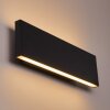 Applique murale Obion LED Anthracite, 2 lumières