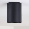 Plafonnier Betsie Noir, 1 lumière