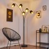 Lampadaire Alsen Noir, 5 lumières