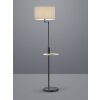 Lampadaire Trio Leuchten CLAAS Noir, 1 lumière